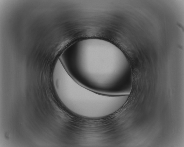 X0000092060164200709121013
