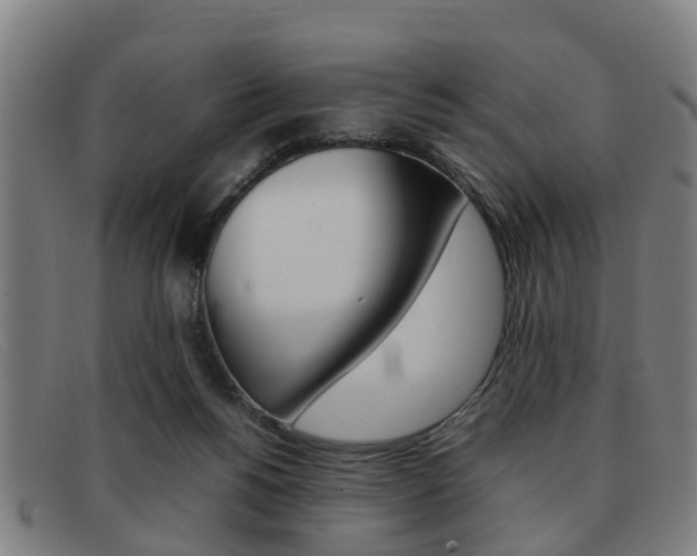 X0000092060168200709121013
