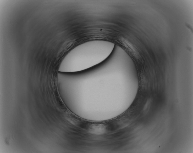 X0000092060169200709121013