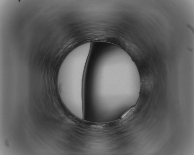 X0000092060170200709121013