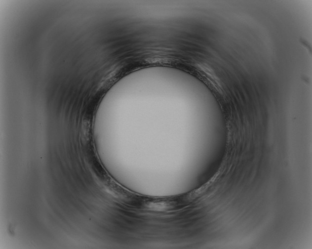 X0000092060171200709121013