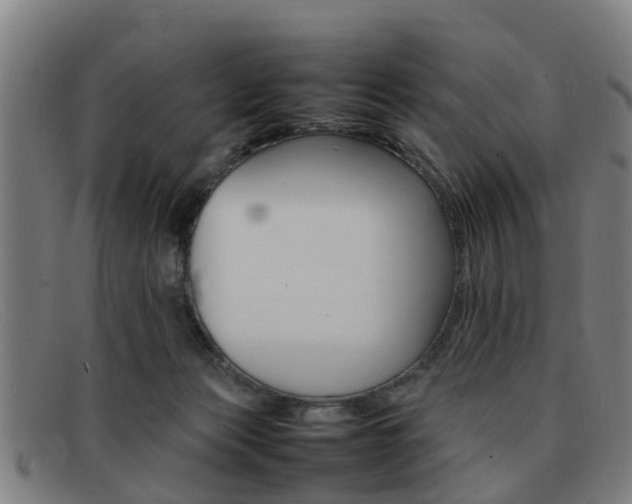 X0000092060173200709121013