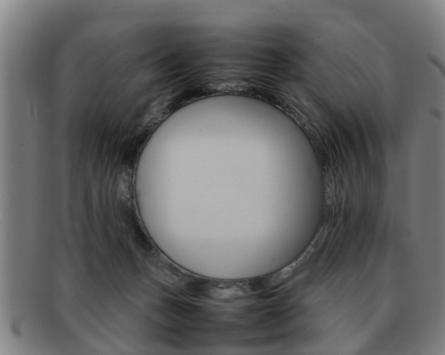X0000092060175200709121013