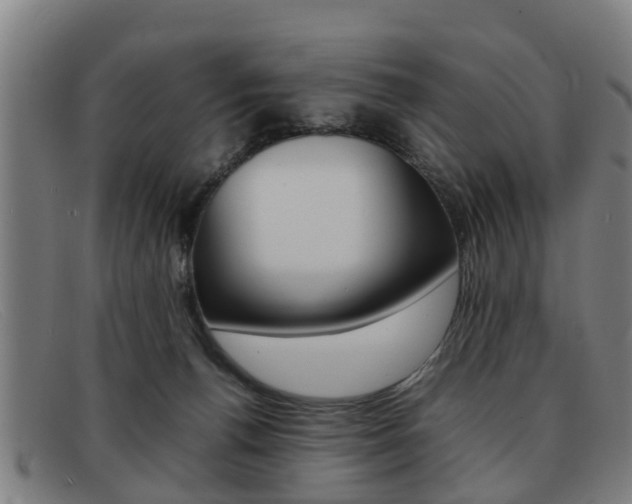 X0000092060176200709121013