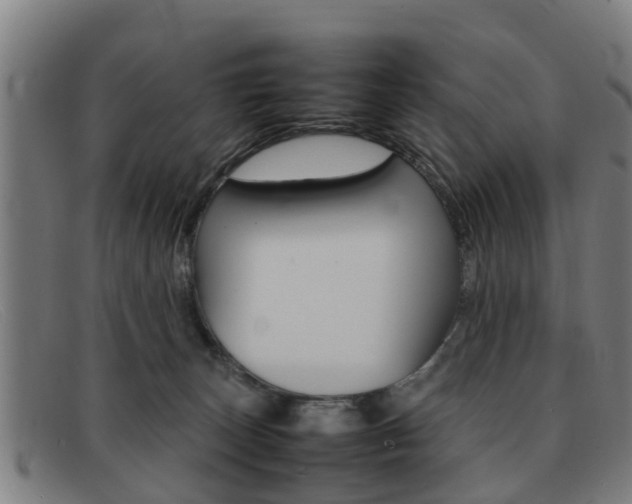 X0000092060179200709121013