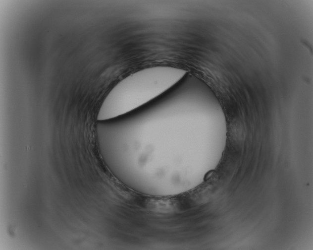 X0000092060181200709121013