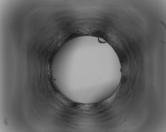 X0000092060182200709121013