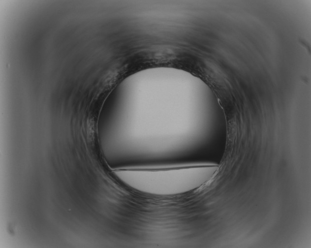 X0000092060184200709121013
