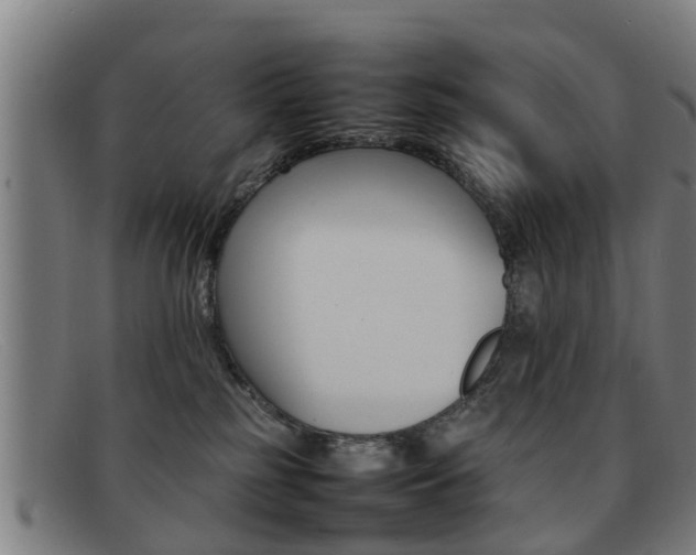X0000092060185200709121013