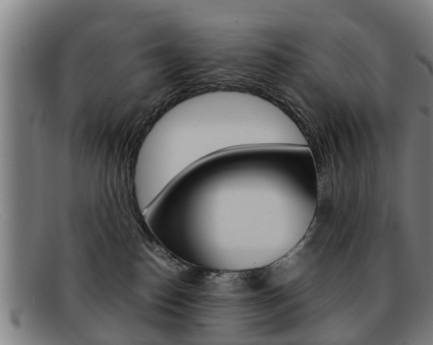 X0000092060186200709121013