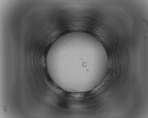 X0000092060187200709121013