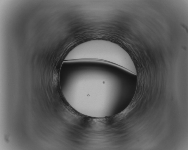 X0000092060188200709121013