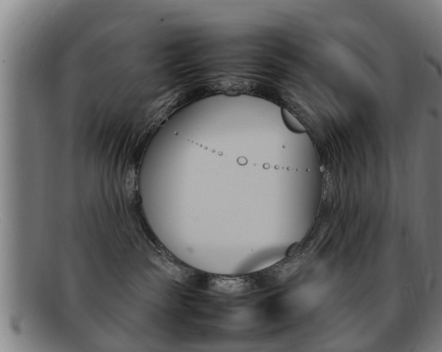 X0000092060189200709121013