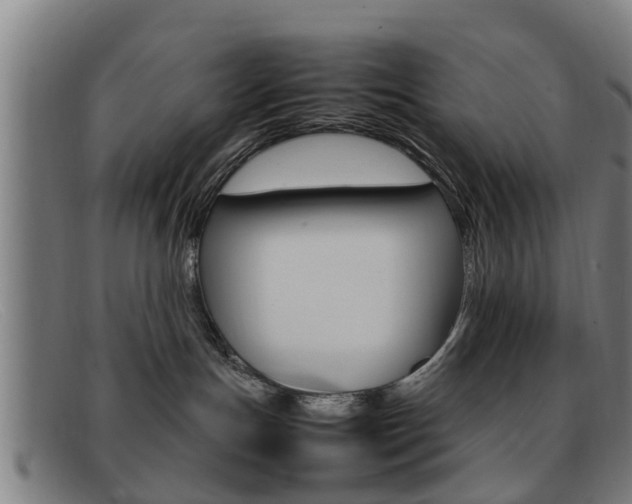 X0000092060191200709121013