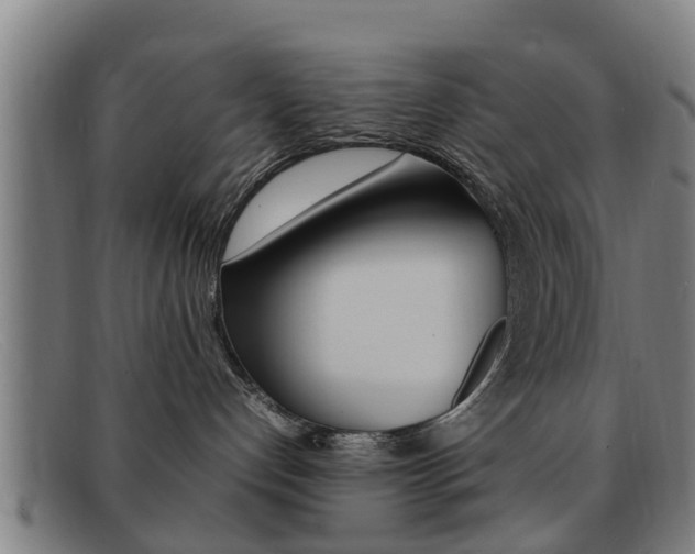 X0000092060192200709121013