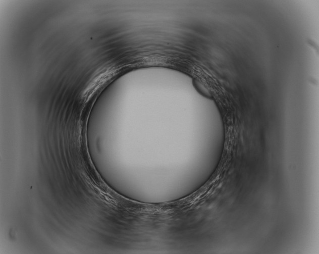 X0000092060194200709121013