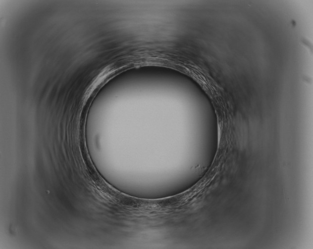 X0000092060195200709121013