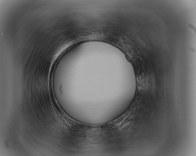 X0000092060196200709121013