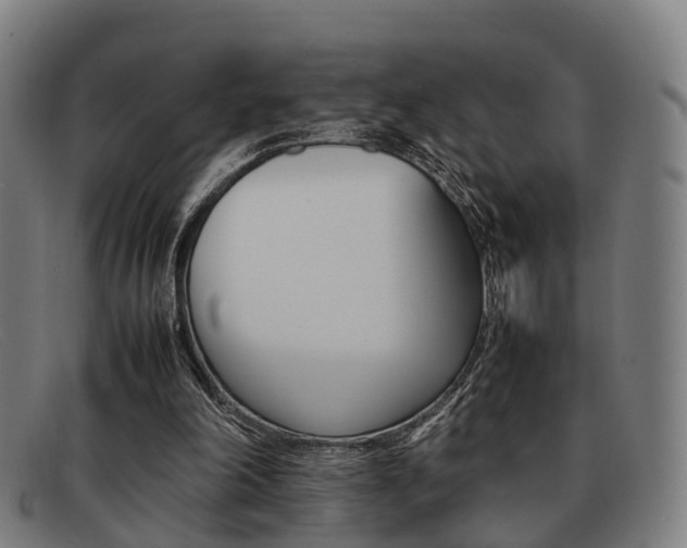 X0000092060198200709121013