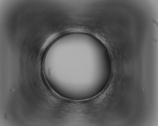 X0000092060199200709121013