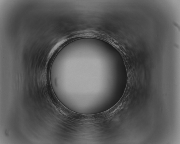 X0000092060200200709121013