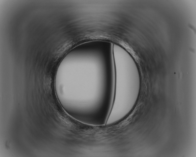X0000092060201200709121013