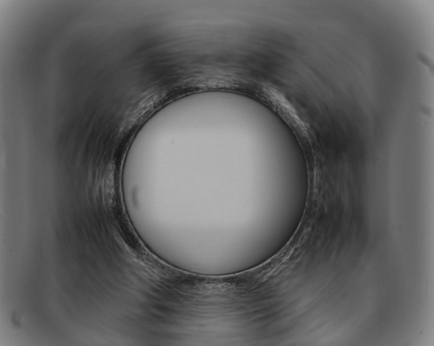 X0000092060202200709121013