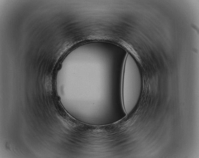 X0000092060204200709121013
