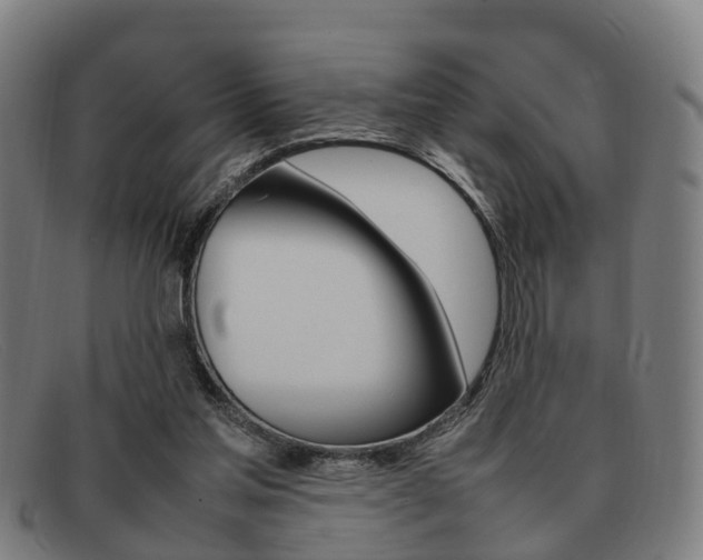 X0000092060205200709121013