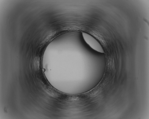 X0000092060206200709121013