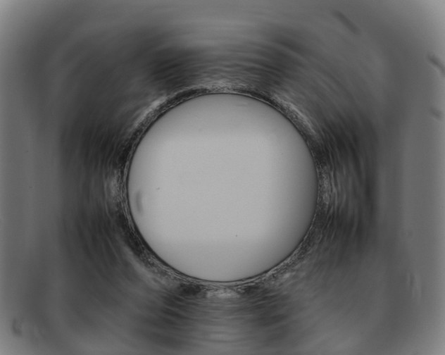 X0000092060208200709121013