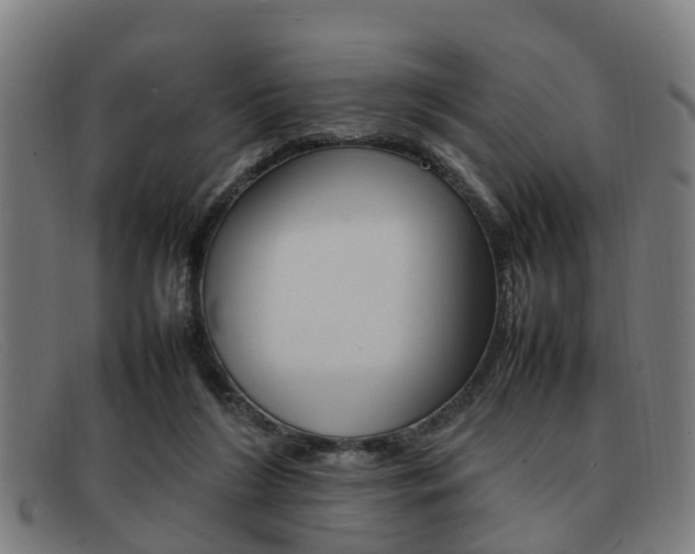 X0000092060212200709121013