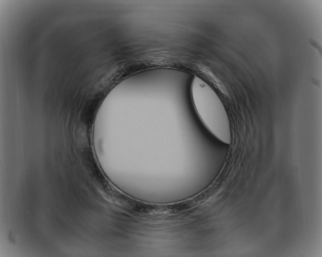 X0000092060213200709121013