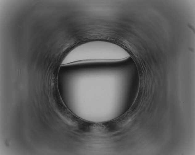 X0000092060215200709121012