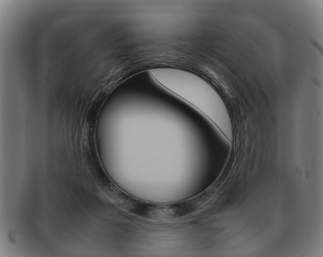 X0000092060217200709121012