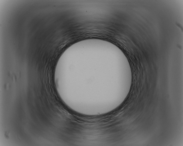X0000092060219200709121012