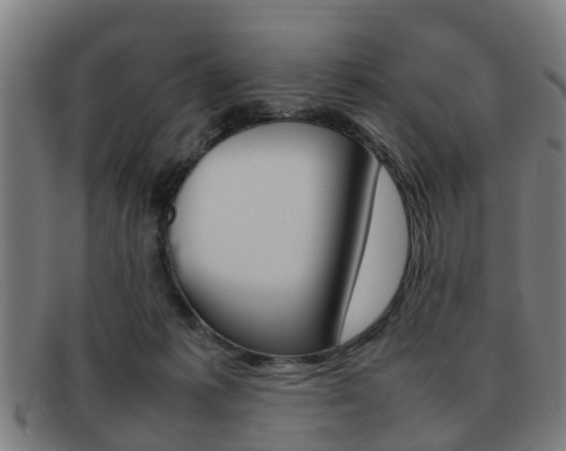 X0000092060221200709121012