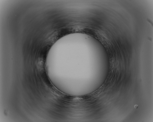 X0000092060222200709121012