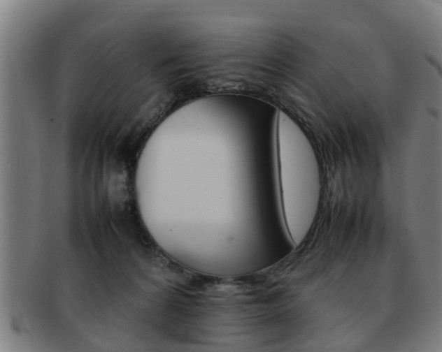 X0000092060224200709121012