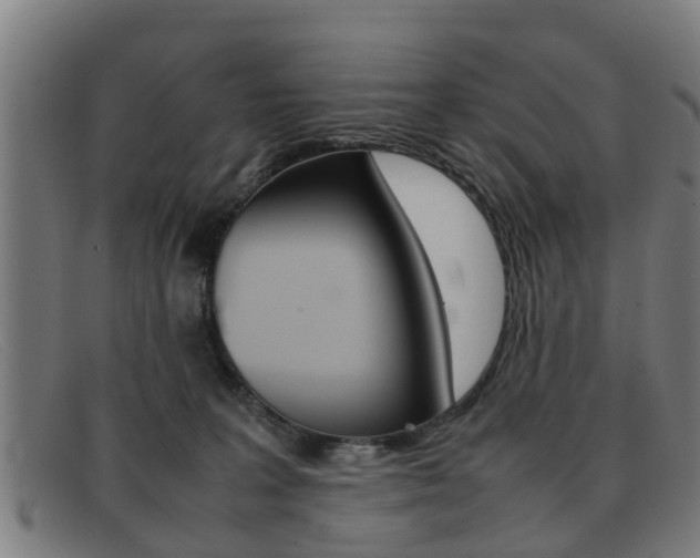 X0000092060227200709121012