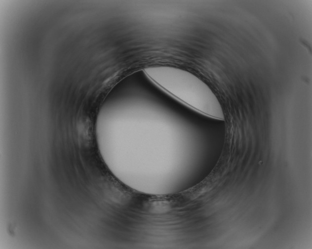 X0000092060228200709121012