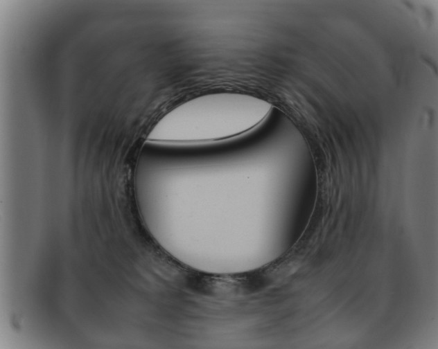 X0000092060229200709121012