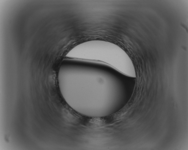 X0000092060231200709121012
