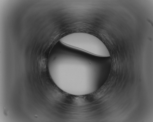 X0000092060232200709121012