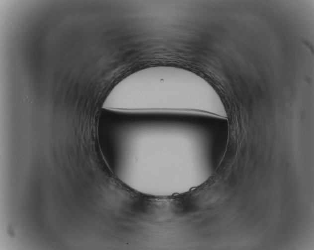 X0000092060233200709121012