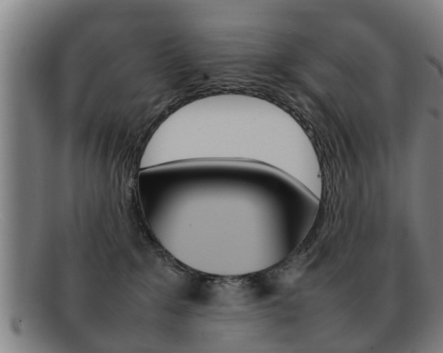 X0000092060235200709121012