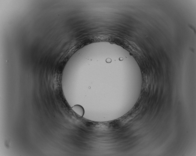 X0000092060236200709121012