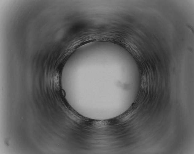 X0000092060238200709121012