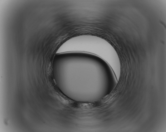 X0000092060239200709121012
