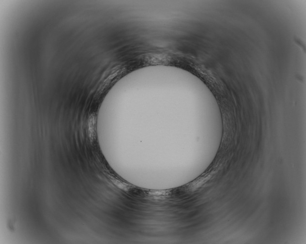 X0000092060240200709121012